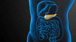 Diagnostic Tests for Gallbladder Disease
